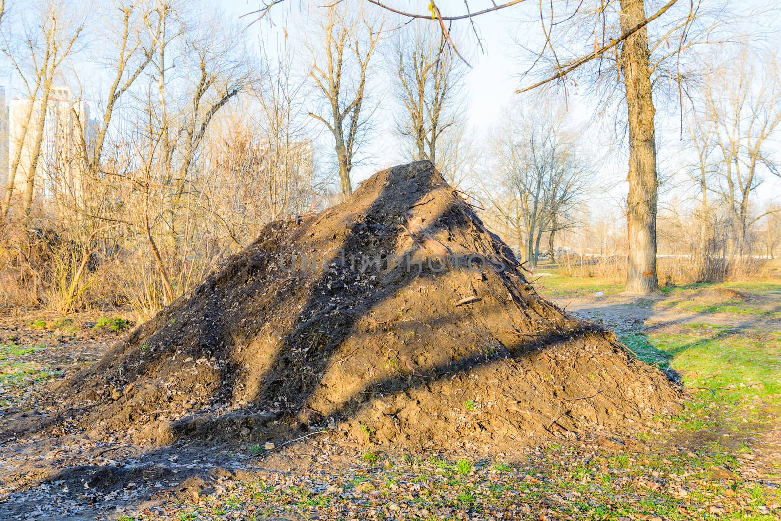 A huge heap of soil in the park with morning sunlight