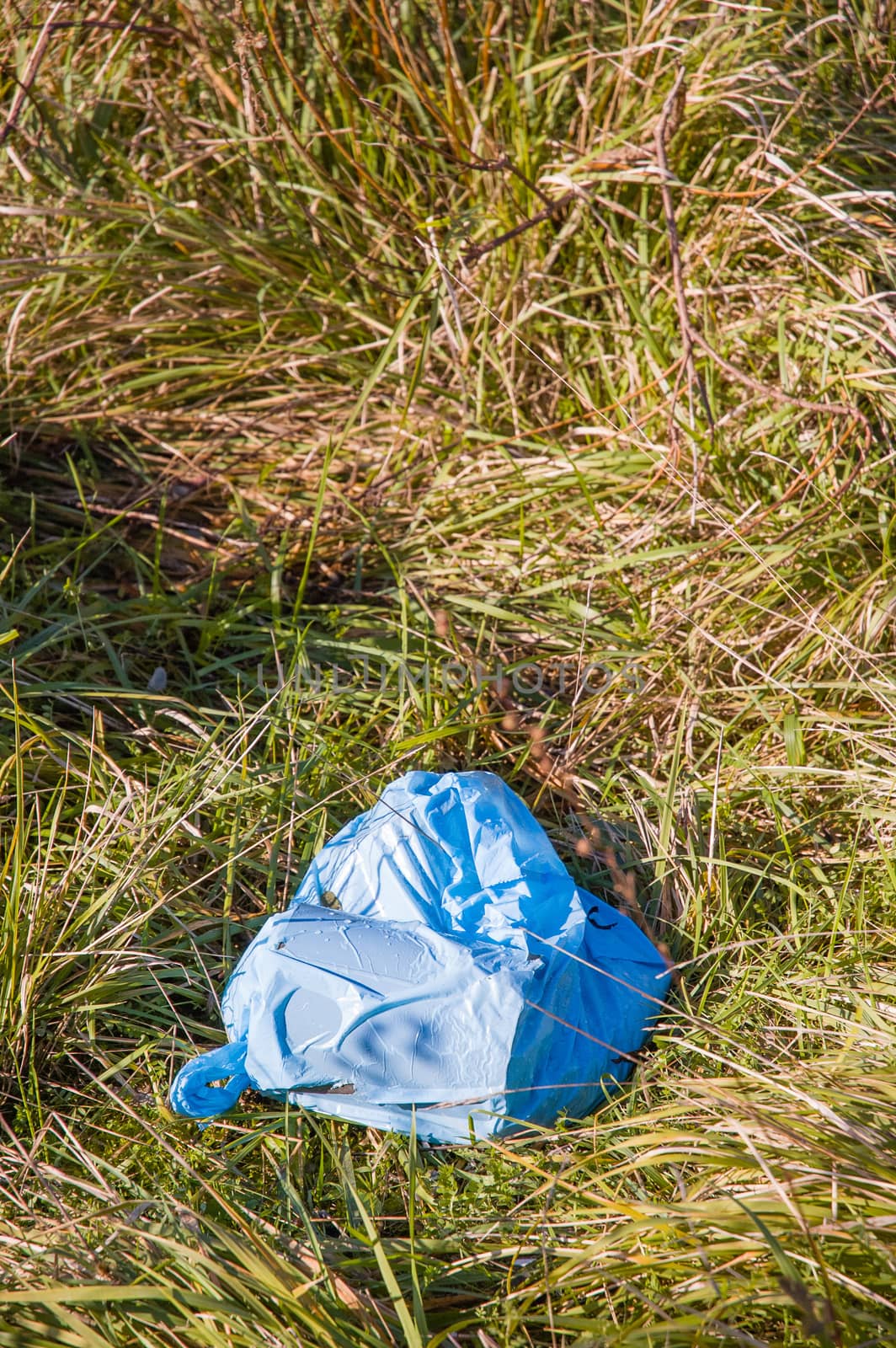 Plastic bag let in Nature left by disrespectful people. An example of pollution of the environment