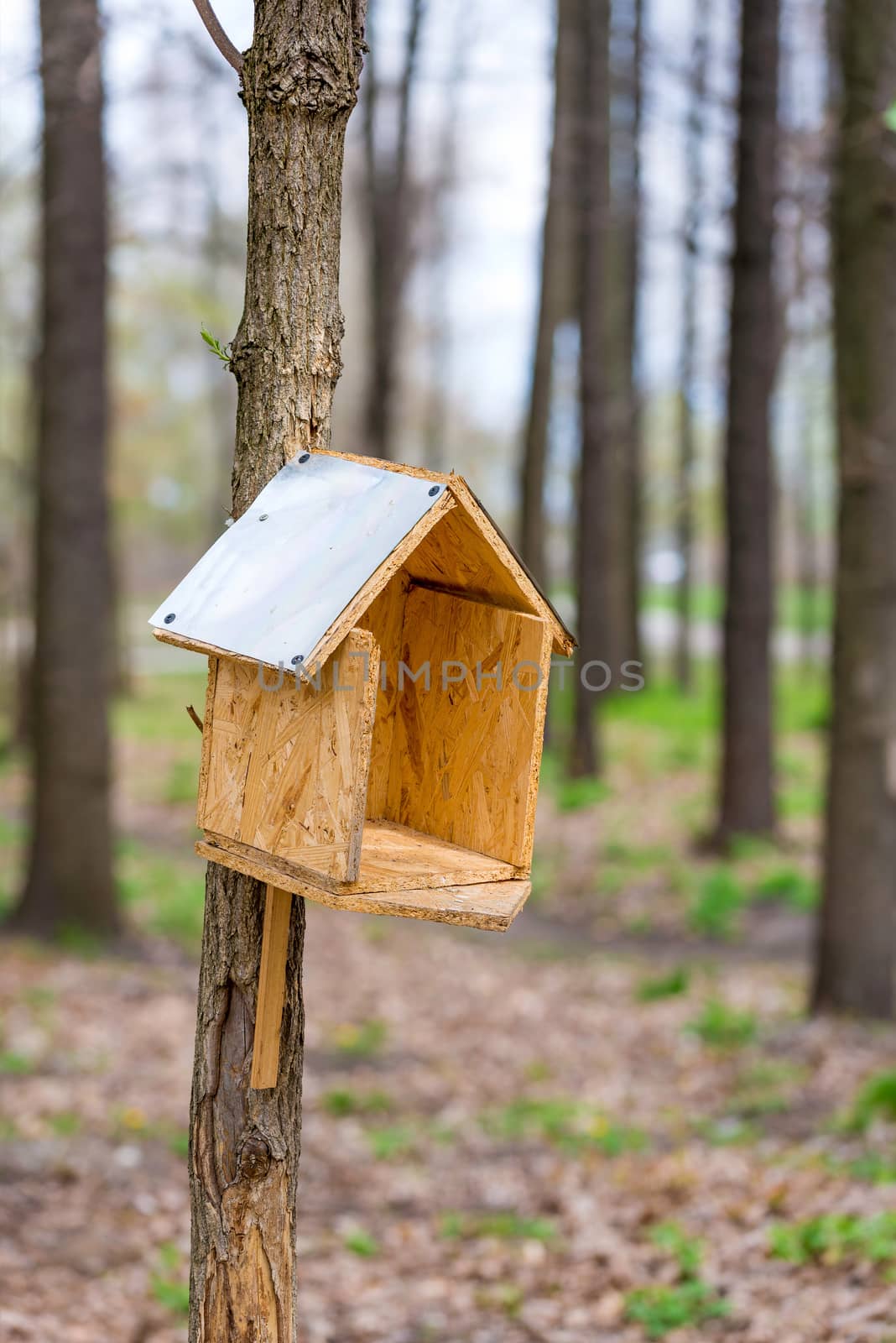 Handwork bird house made of chipboard and zinc in the woods during spring