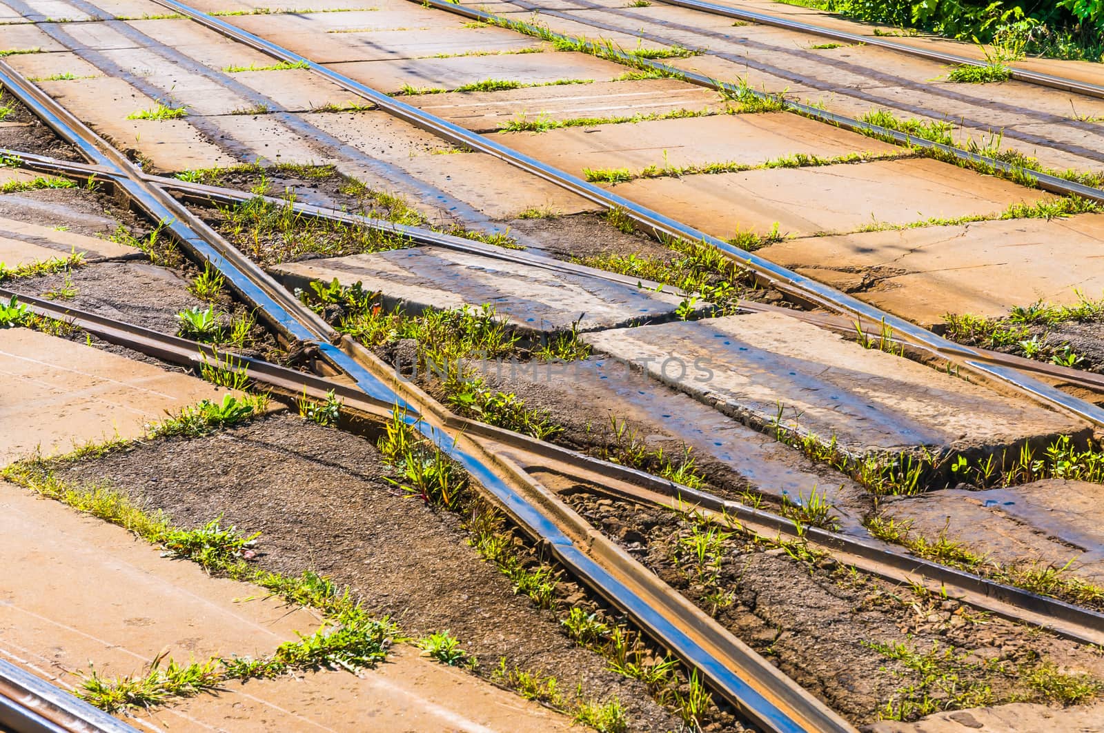 An old Trolley bus railway with herb around