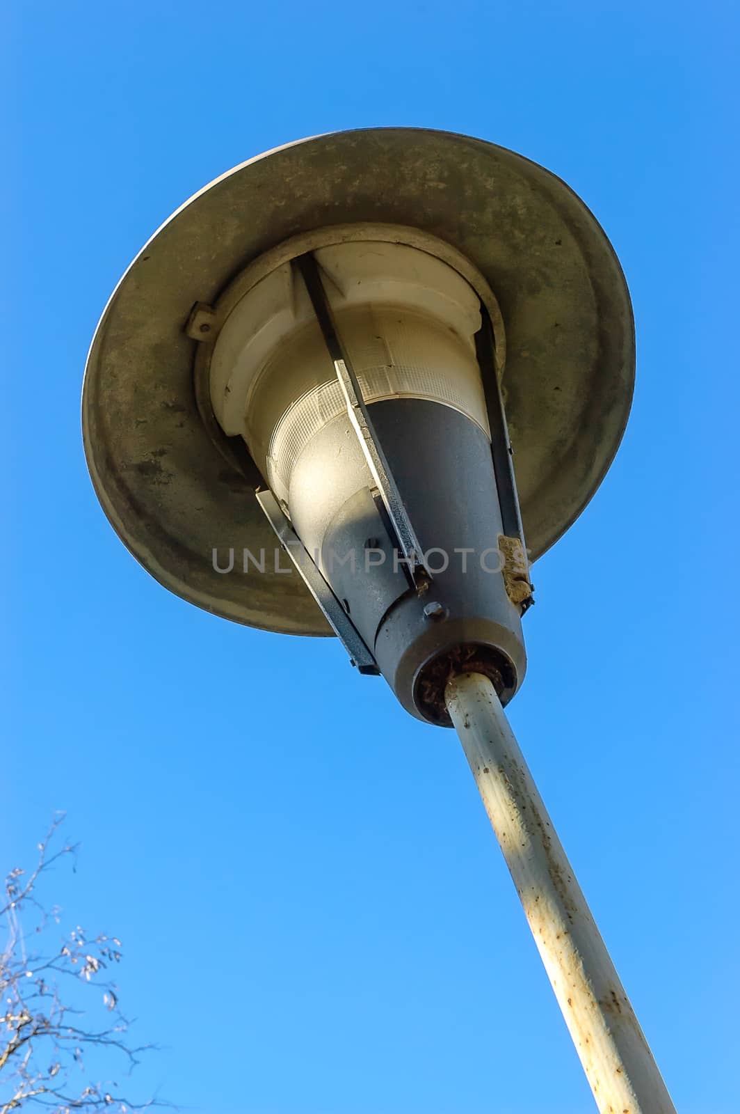 Streetlight by MaxalTamor