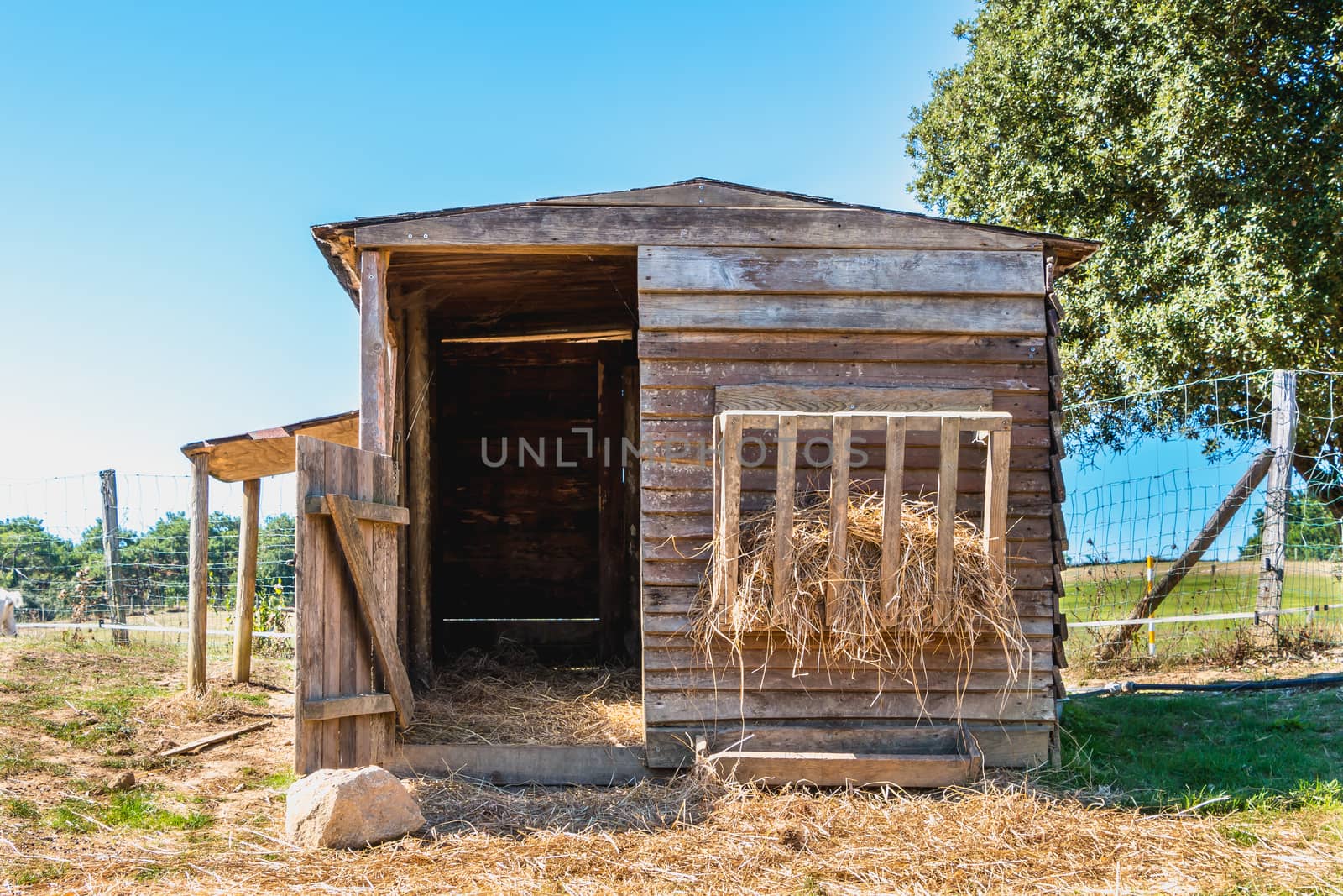 small wooden shack used for animals in a meadow