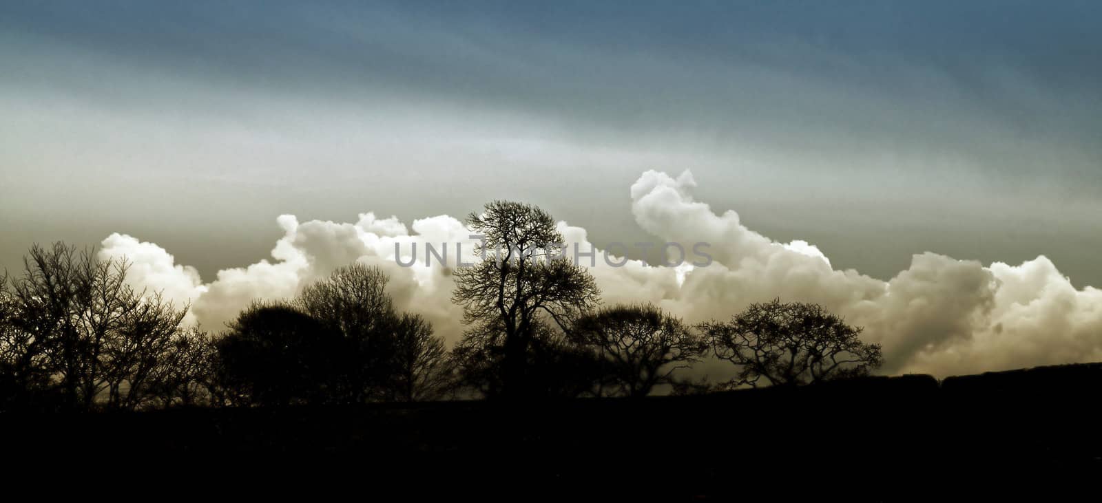 Coast and Countryside. by george_stevenson