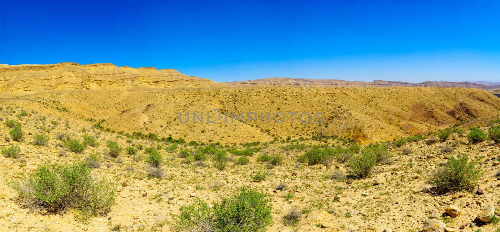 Panoramic landscape of HaMakhtesh HaGadol by RnDmS