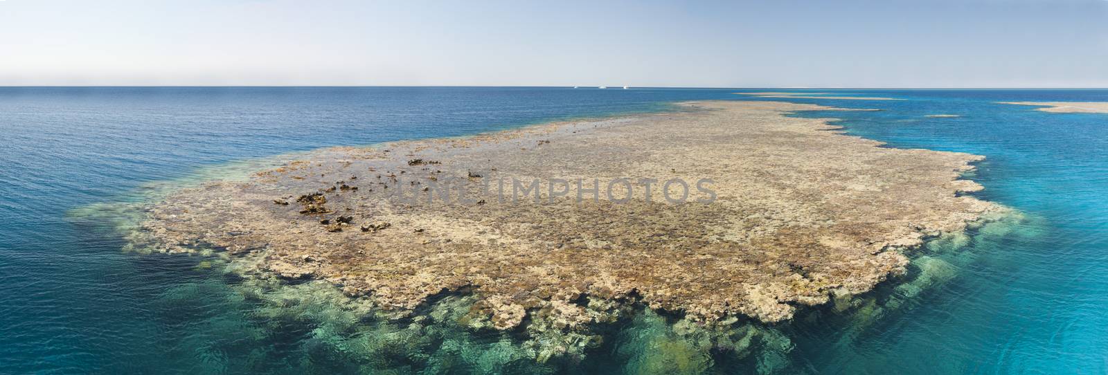 Panoramic view of a tropical coral reef in the sea