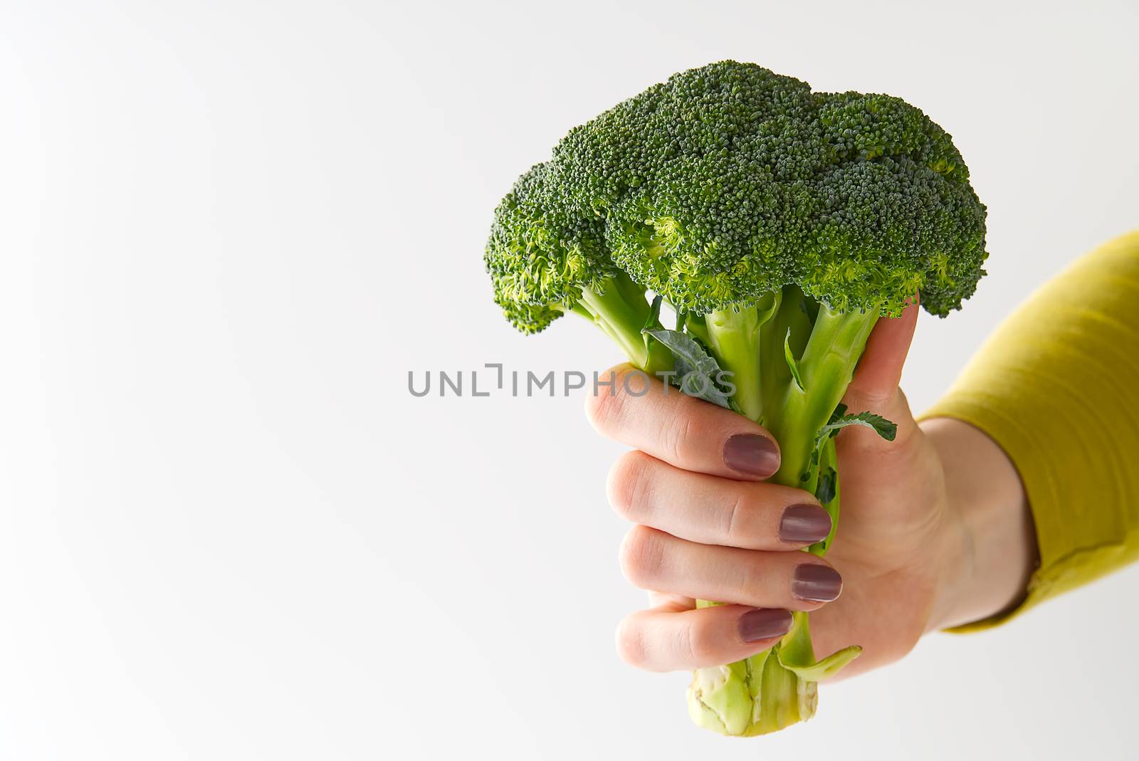 Fresh Organic Green Broccoli in Woman's Hand, Concept Healthy Food. Female Hand Holding Broccoli Isolated on White Background