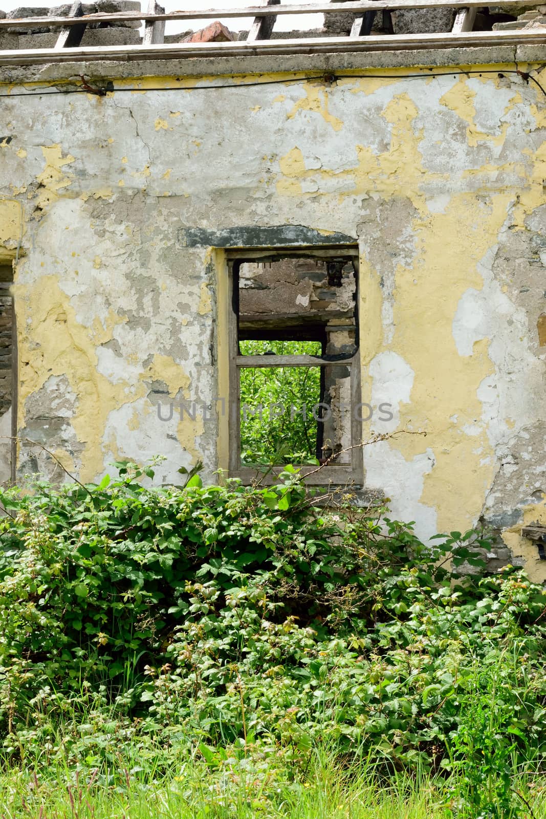 Old abandoned cottage from the days of potato famine in Ireland.