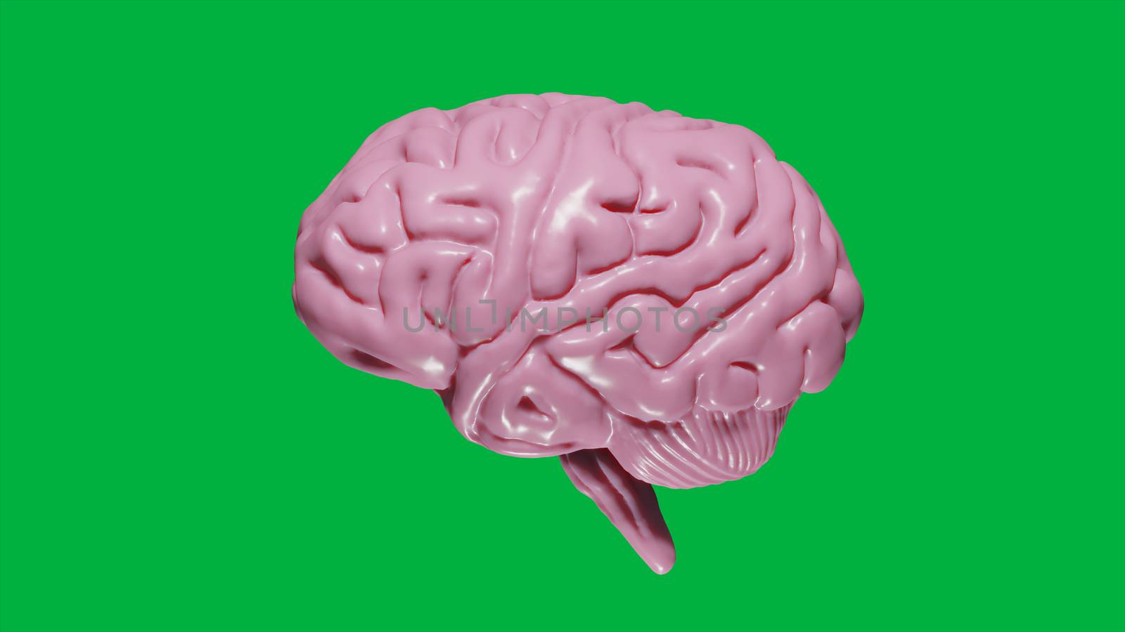 8K 3D rendered Realistic Brain with Light Pink tinted on Green Screen by ariya23156