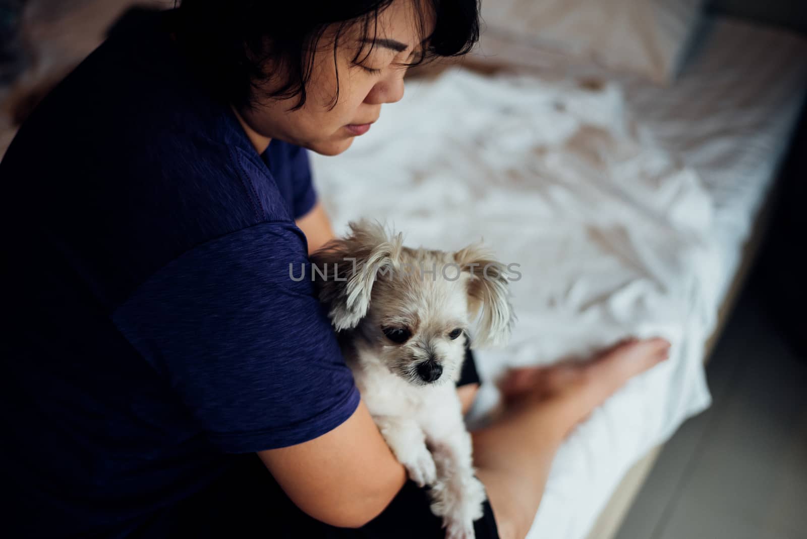 Asian woman and dog happy smile hugging her pat is a dog so cute mixed breed with Shih-Tzu, Pomeranian and Poodle on bed with white veil in bedroom at home or hotel