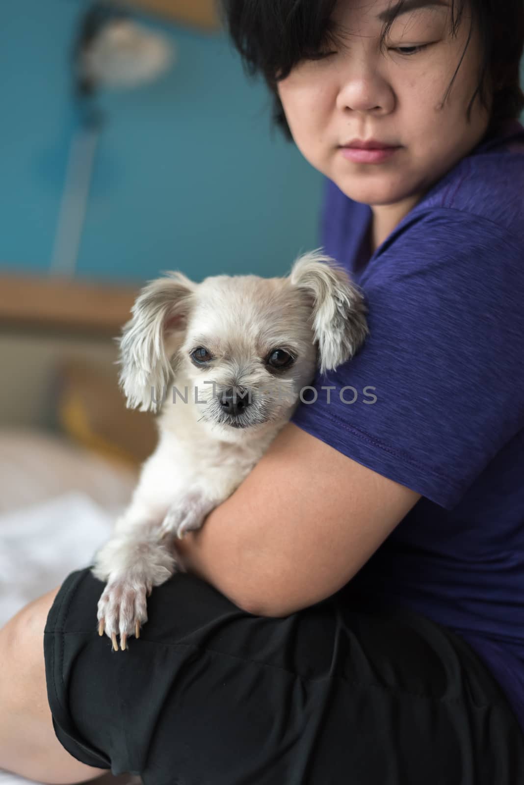 Asian woman hugging dog so cute on bed in bedroom by PongMoji