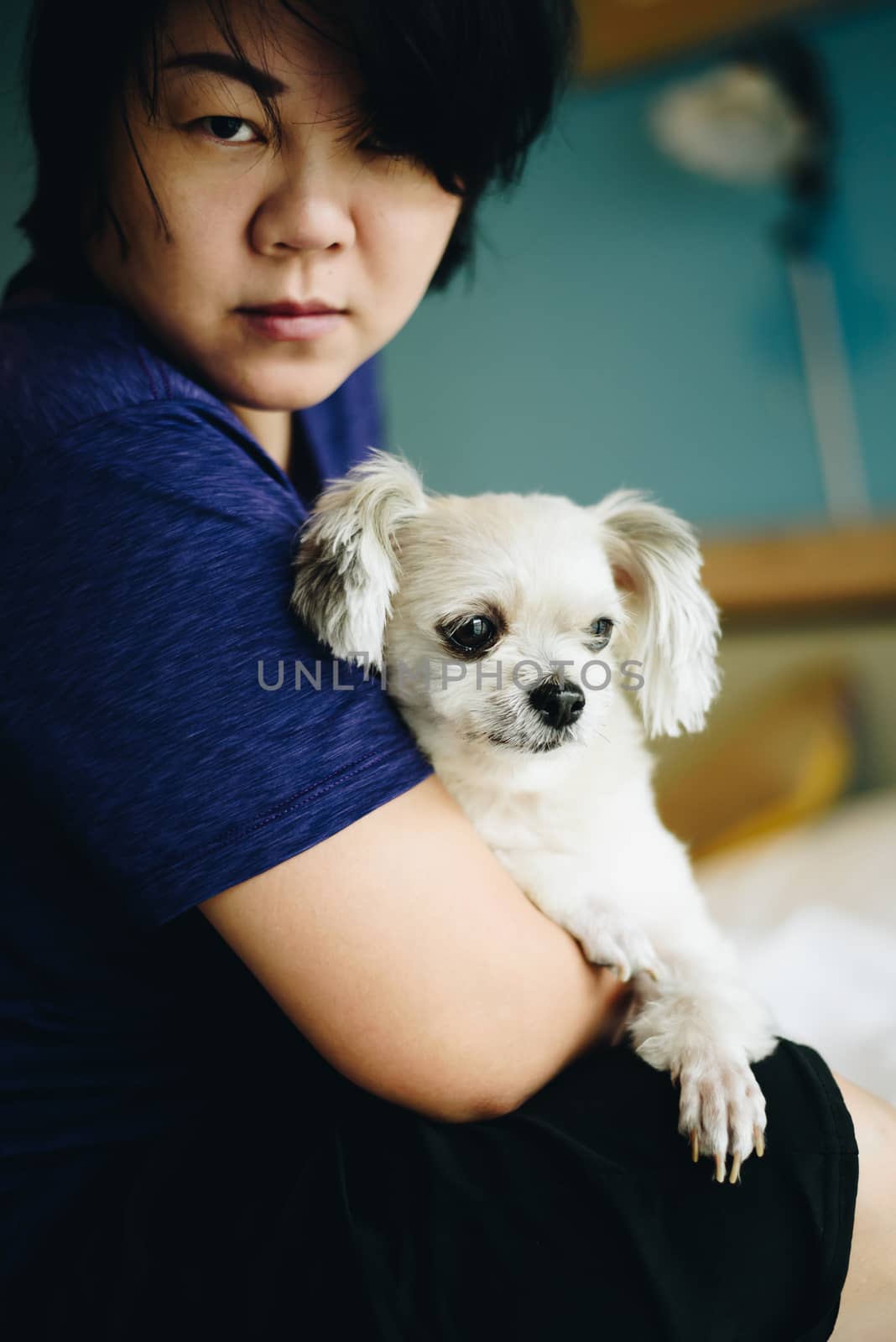 Asian woman hugging dog so cute on bed in bedroom by PongMoji