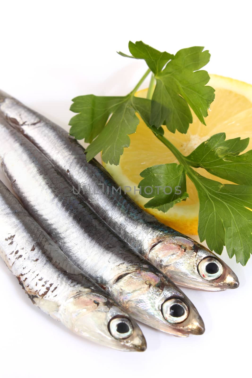 Anchovies with parsley and lemon on white background