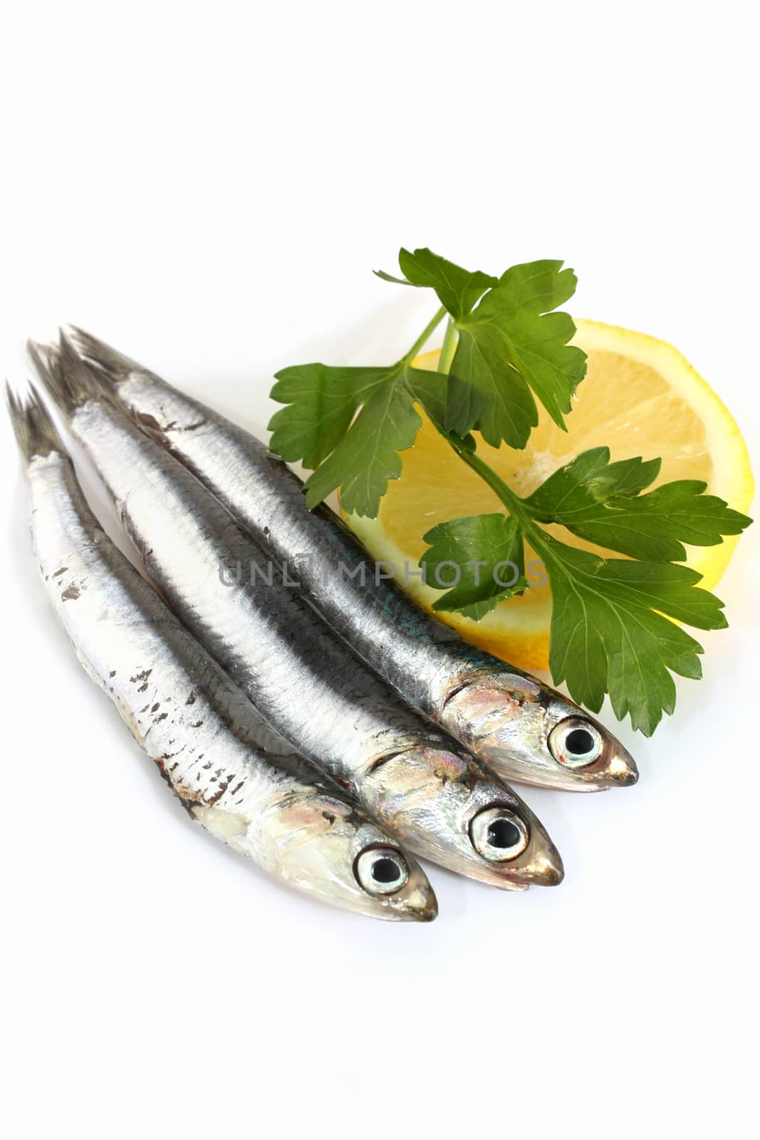 Anchovies with parsley and lemon on white background