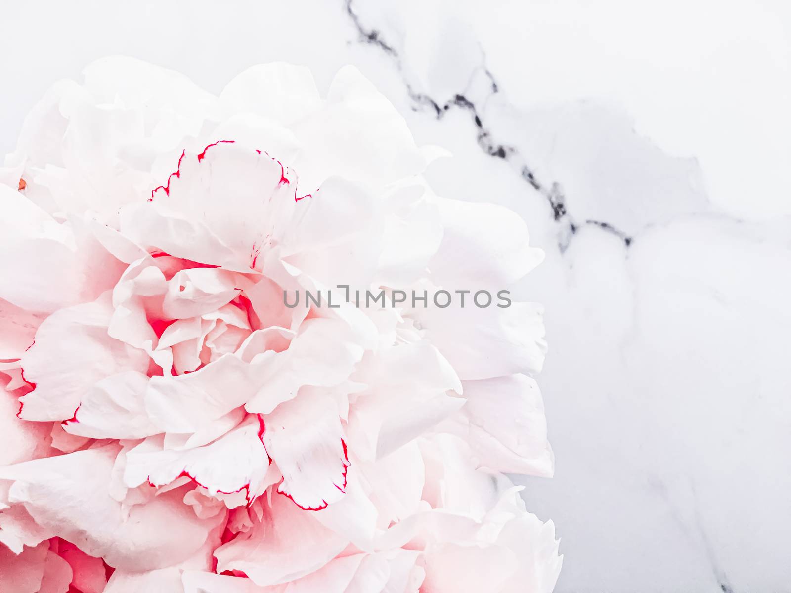 Bouquet of peony flowers on luxury marble background, wedding flatlay and event branding by Anneleven