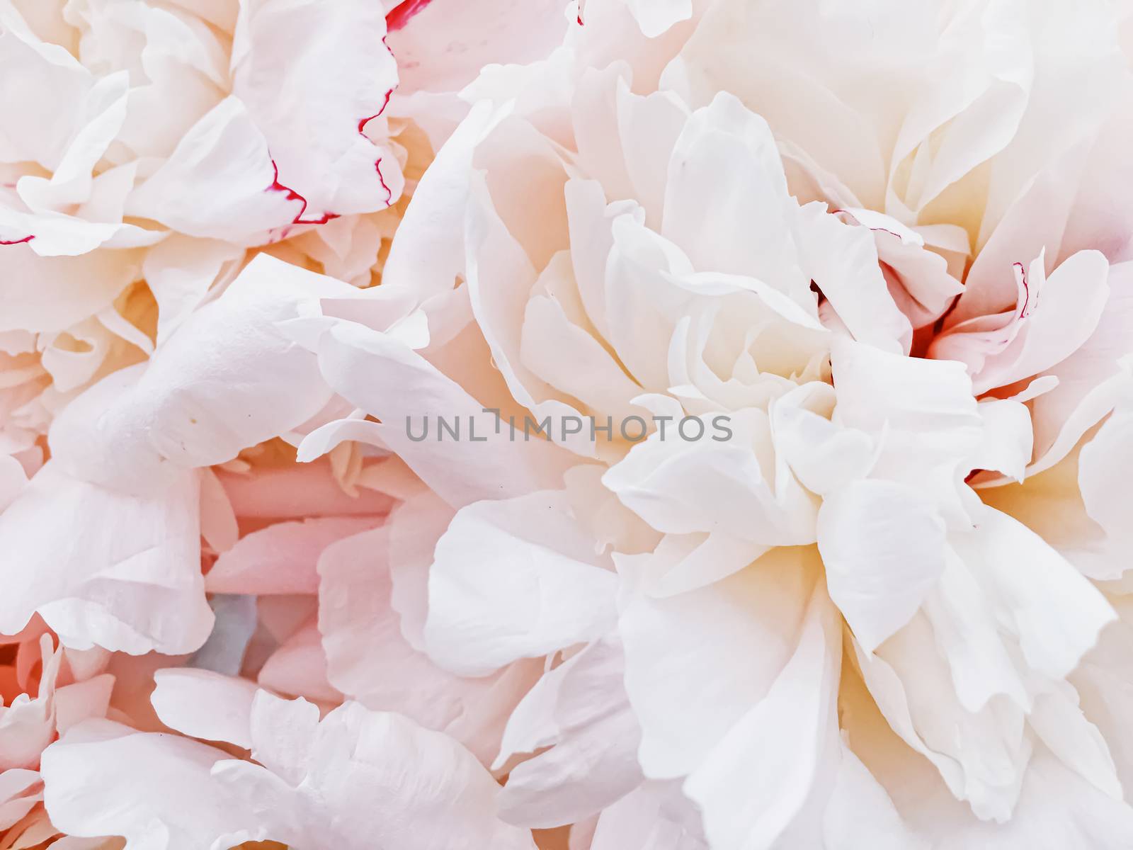 Bouquet of peony flowers on luxury marble background, wedding flatlay and event branding design