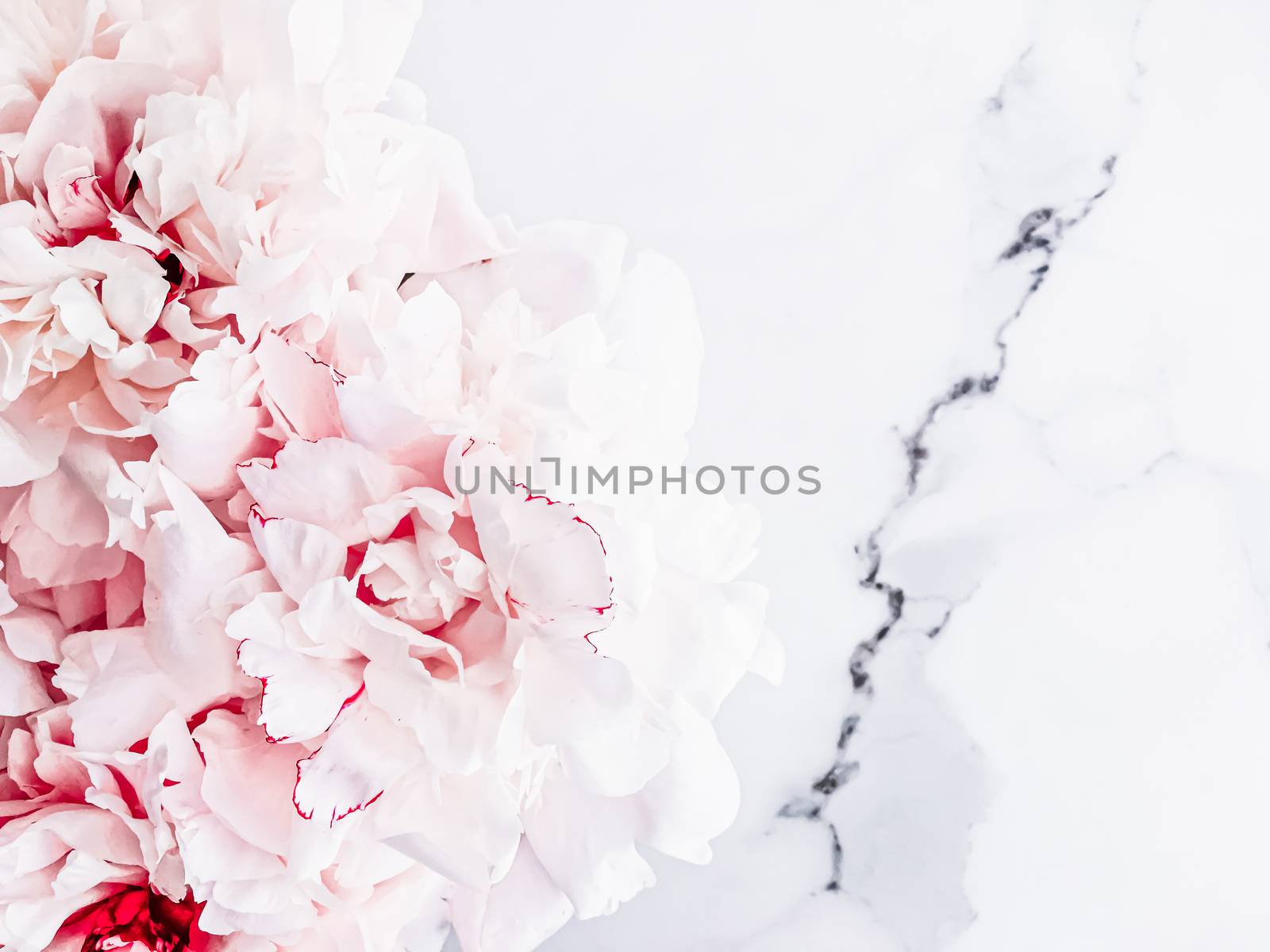 Bouquet of peony flowers on luxury marble background, wedding flatlay and event branding design