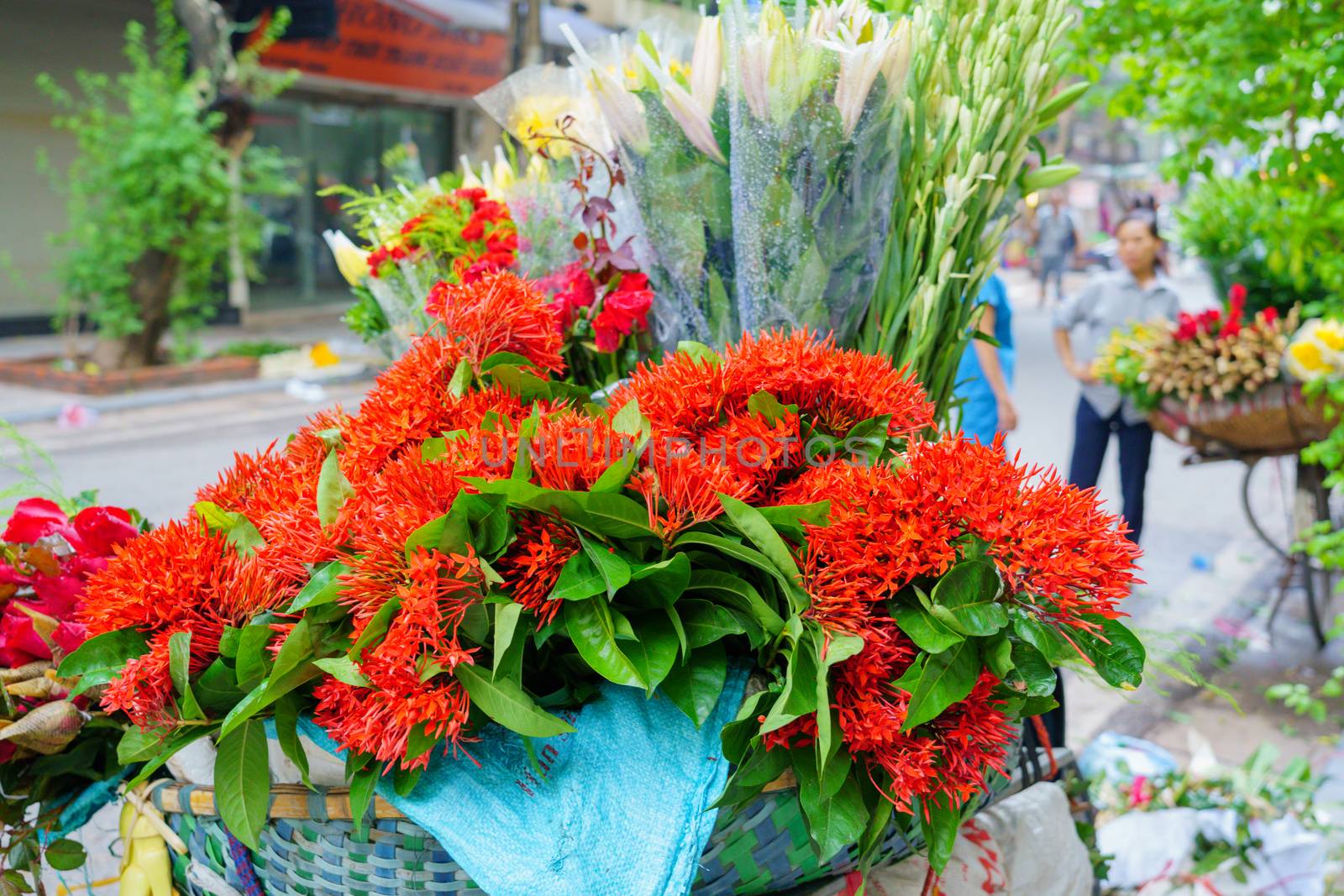 Flower market on bicycle on the road local market in HANOI VIETN by bbbirdz