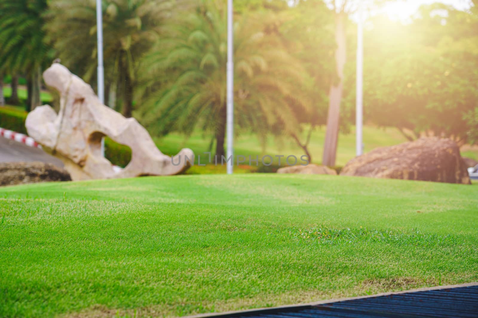 Focus nature green grass in golf court garden blur park on Sky,  by bbbirdz