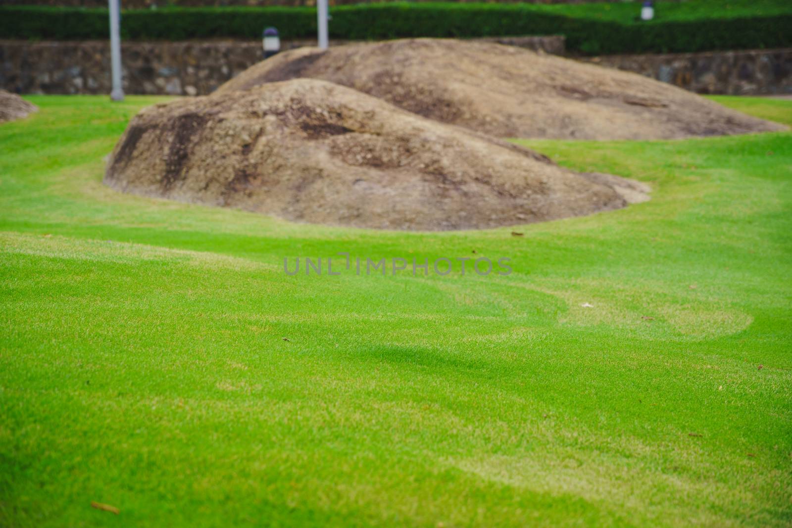 Focus nature green grass in golf court garden blur park on Sky,  by bbbirdz