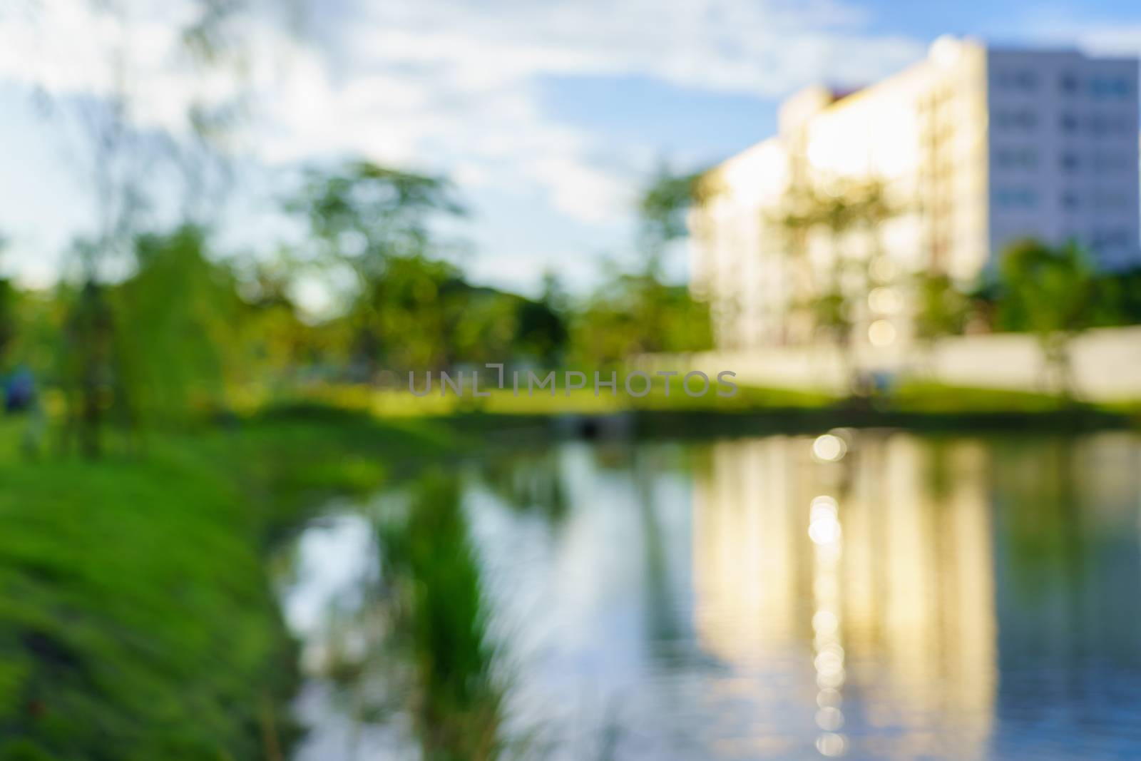 Abstract sun lights blur and beautiful bokeh nature green grass in the park pond and city background