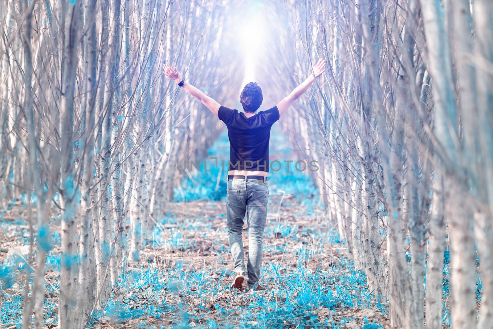 a happy man in a fairy forest runs against the light by Edophoto