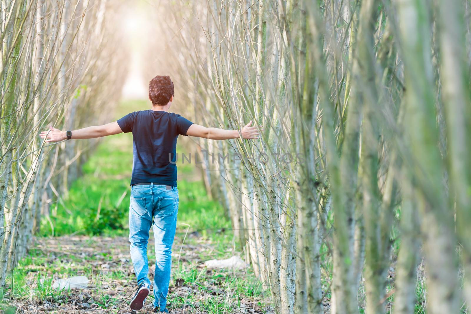 happy man running on a forest path opposite the sun. hands touching a tree branch.