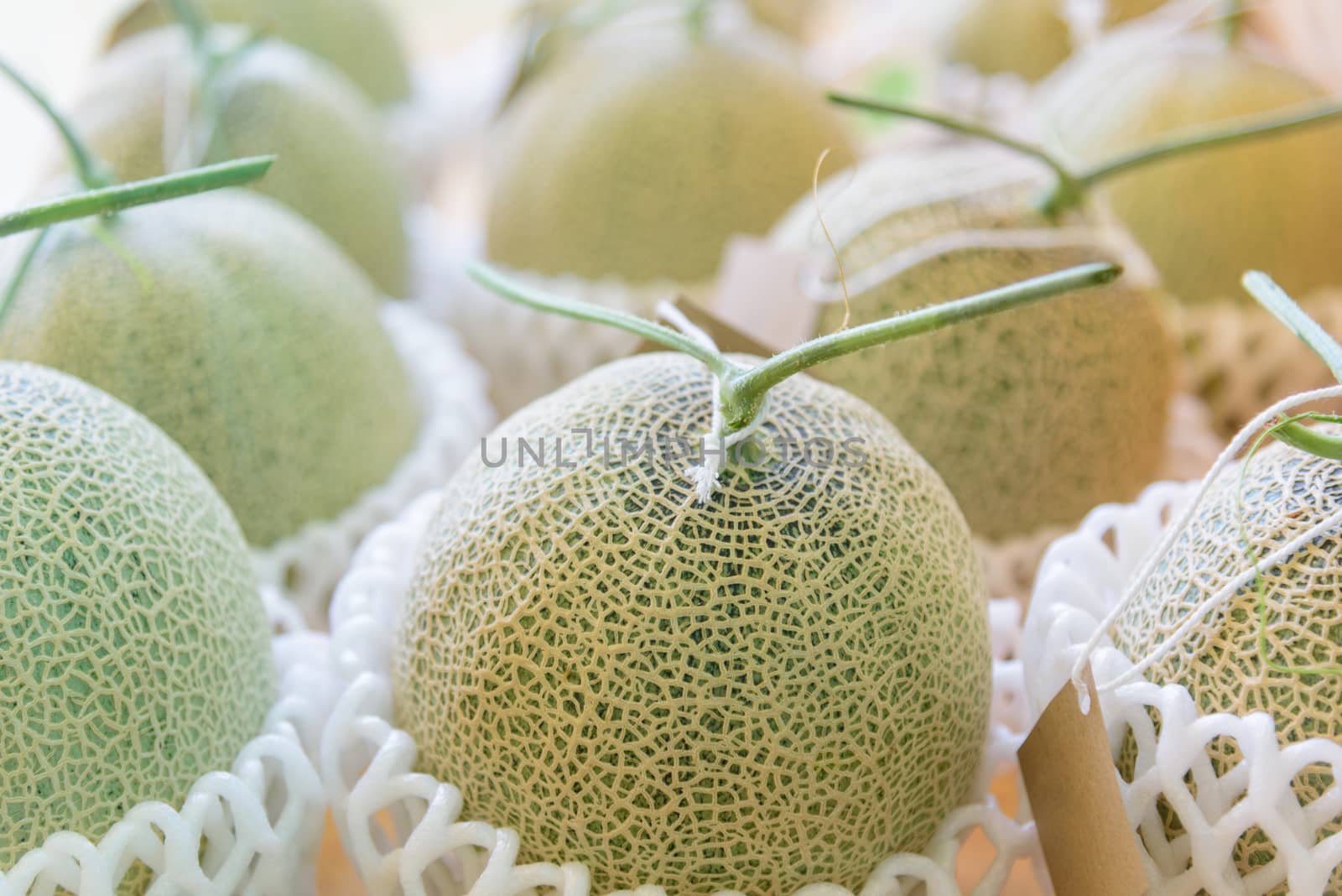 Close up to Fresh melon on table