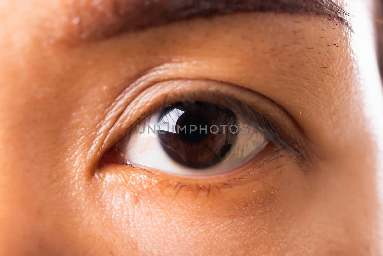 Close up detail macro of iris eyebrow or eyes Asian young woman open eyeball, studio shot background, Healthcare beauty concept