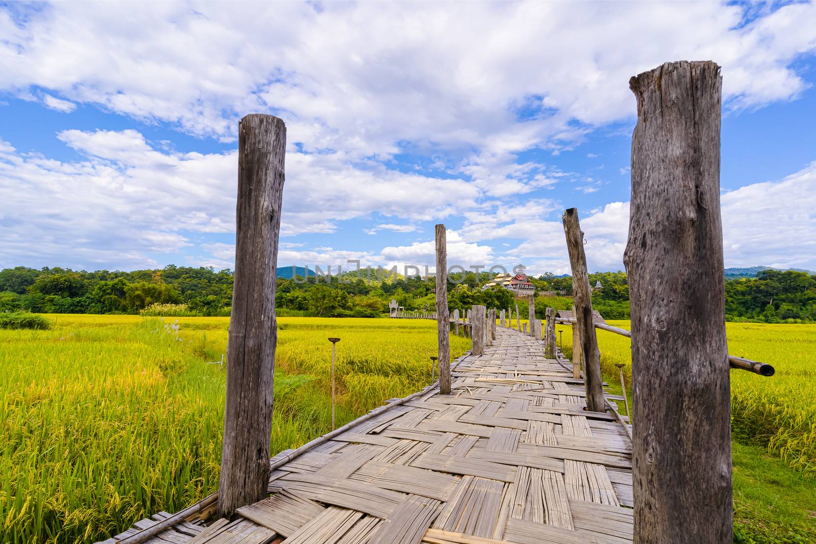 Su Tong Pae Bridge bamboo bridge is a path to walk into the forest and temple the way there are rice plants with a bright sky as a background landmarl in Mae Hong Son, THAILAND