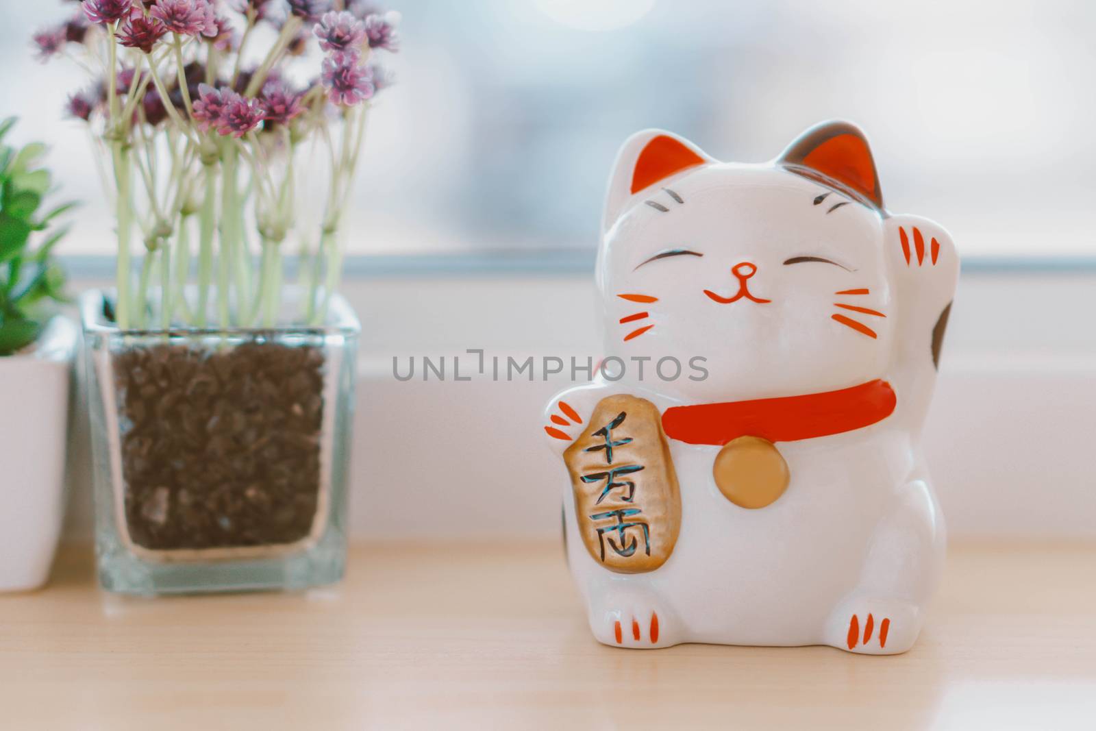 Maneki neko lucky cat show text on hand meaning rich on table, s by pt.pongsak@gmail.com