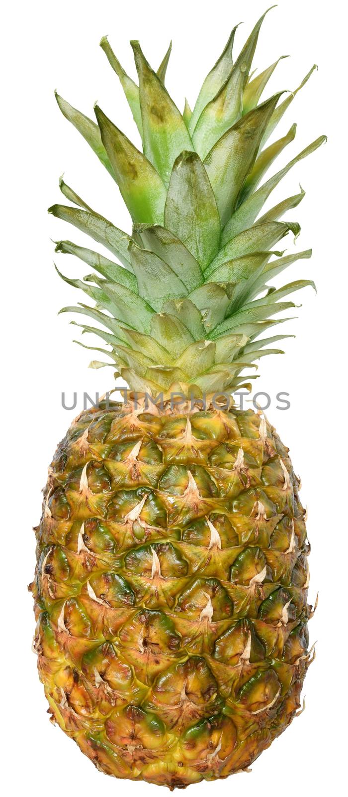 Ripe pineapple close up on a white background.
