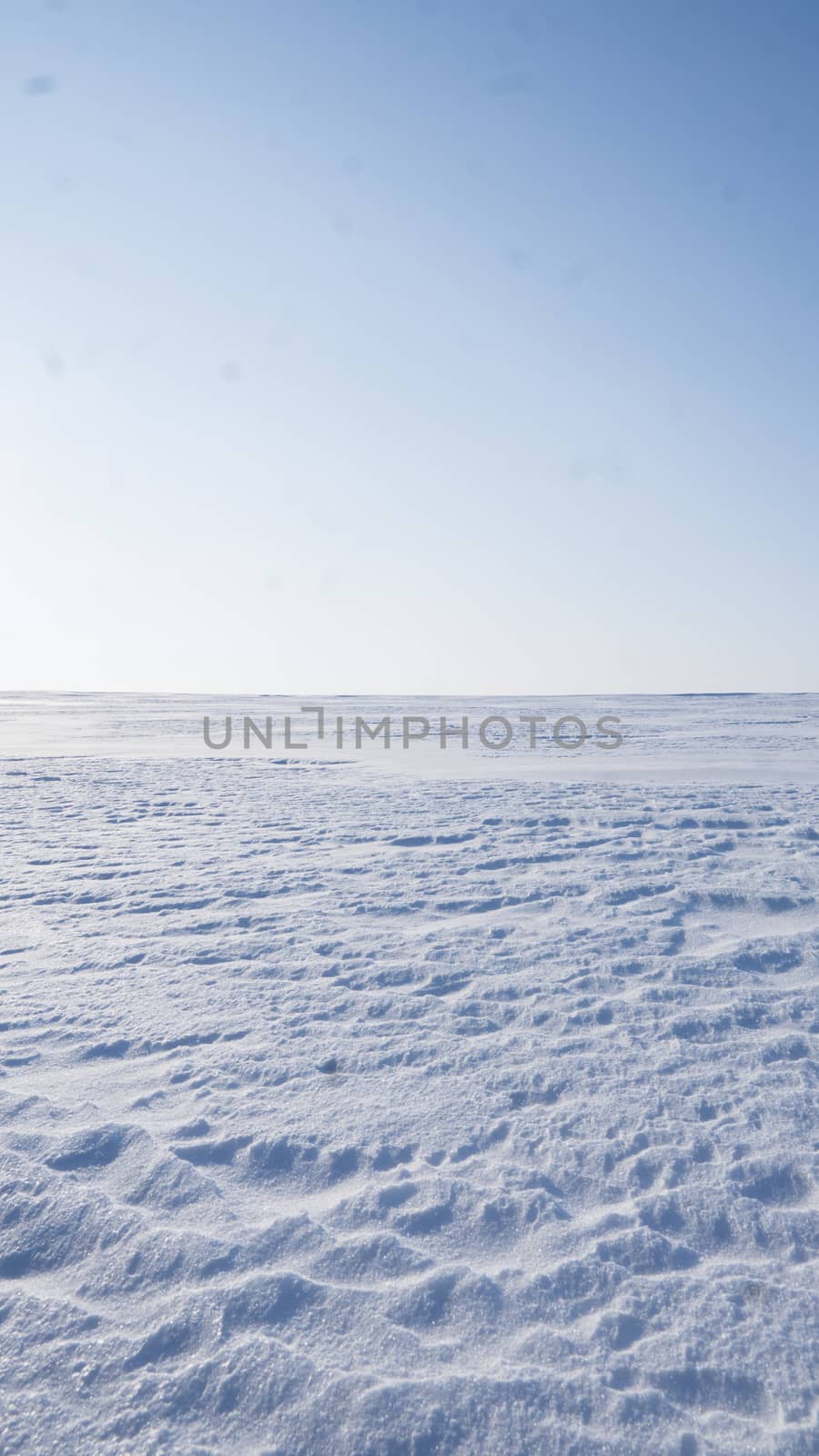 A Field covered with a snow in winter season. Winter countryside landscape