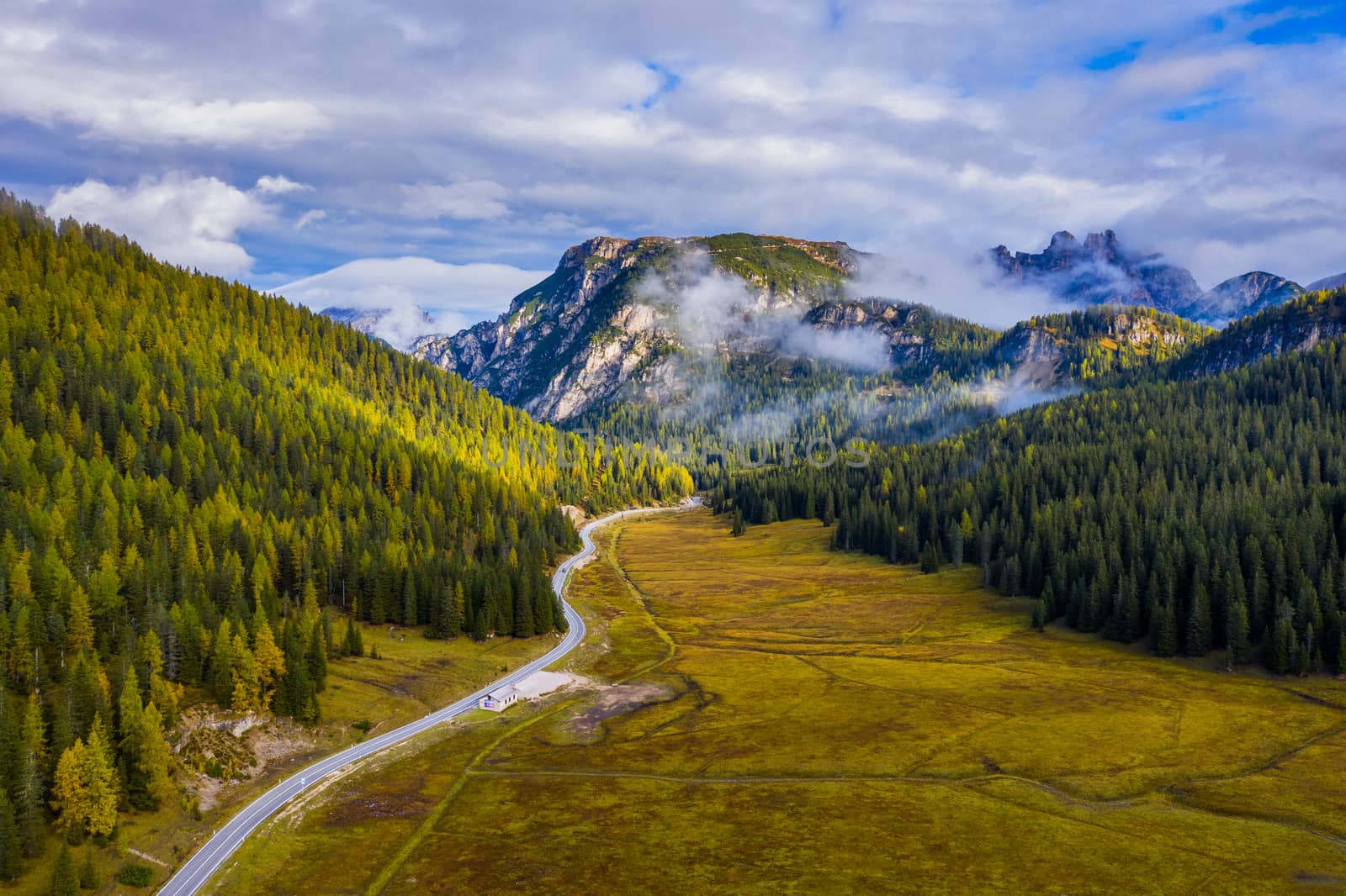 Scenic aerial view of a winding trekking path in a forest. Trekking path in the forest from above, drone view. Aerial top view of a trail in the middle of a forest. Aerial view of footpath in forest.