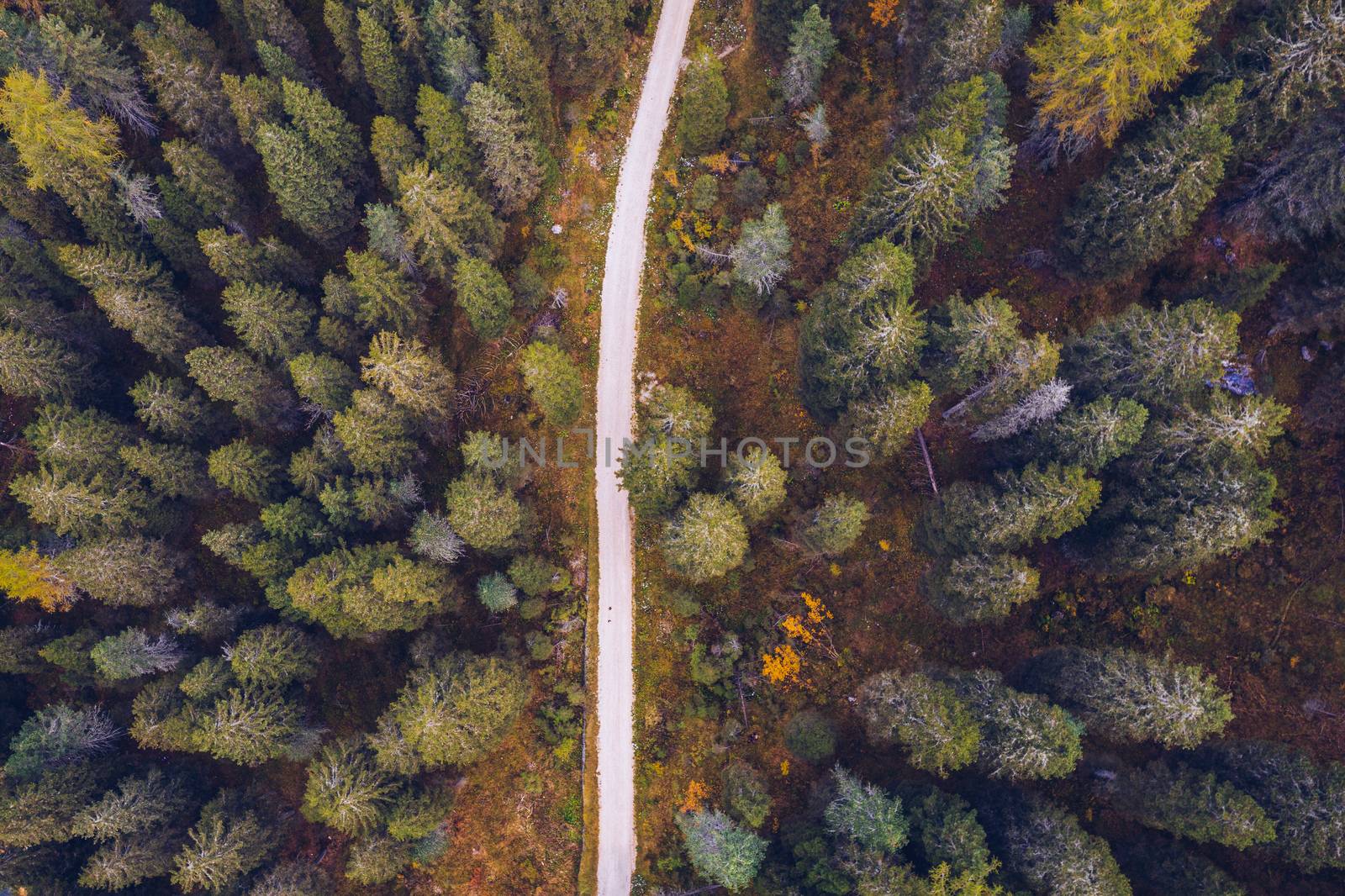 Scenic aerial view of a winding trekking path in a forest. Trekking path in the forest from above, drone view. Aerial top view of a trail in the middle of a forest. Aerial view of footpath in forest.