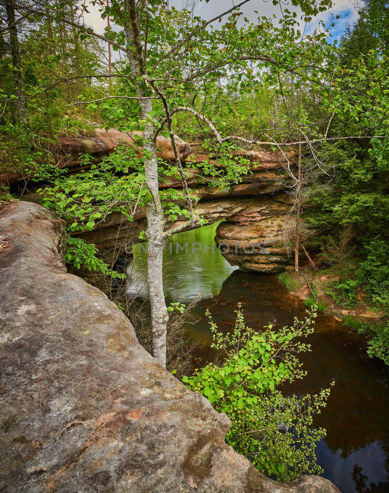 Rock Bridge at Pickett State Park, TN. by patrickstock