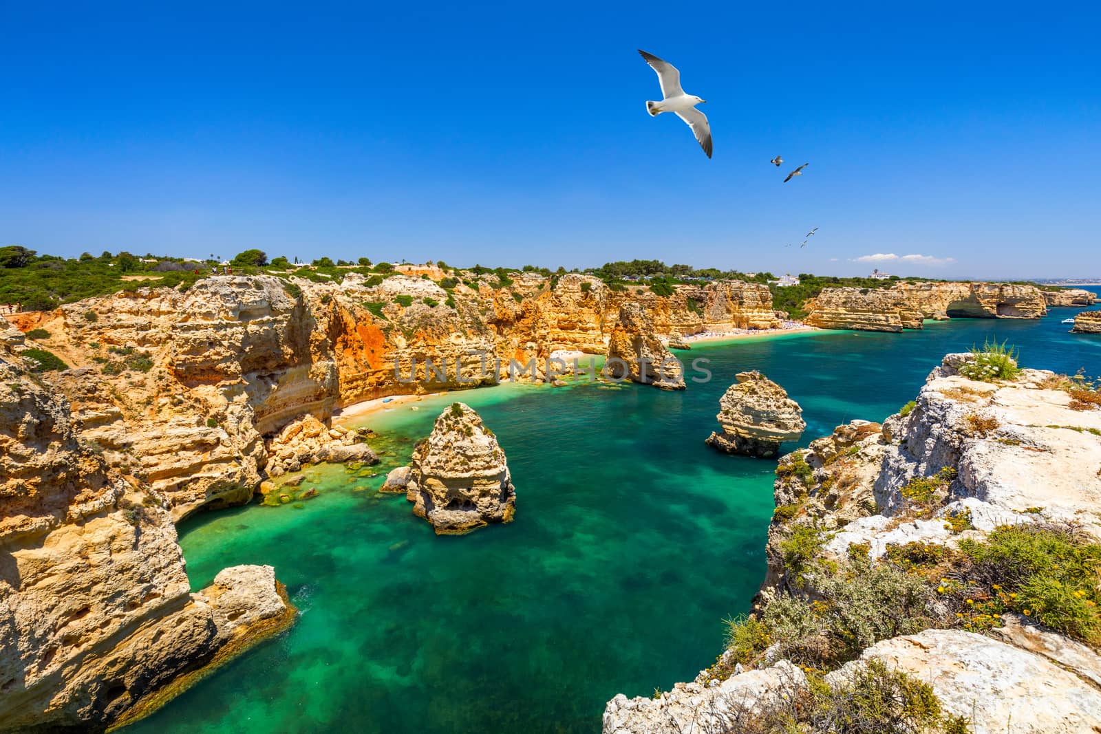 Praia da Marinha, beautiful beach Marinha in Algarve, Portugal. Navy Beach (Praia da Marinha) with flying seagulls over the beach, located on the Atlantic coast in Lagoa Municipality, Algarve.