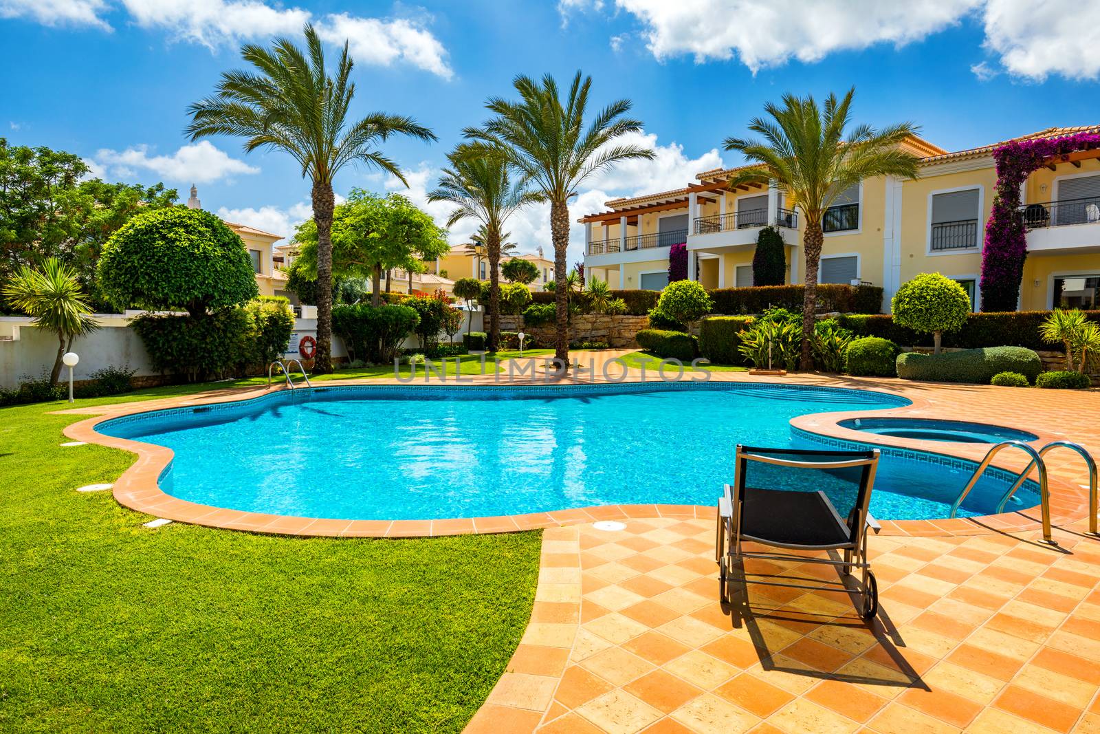 Great backyard with swimming pool, hot tub and lounge chairs. Swimming pool in backyard. Incredible swimming pool and garden with palm trees and flowers in a sunny day.