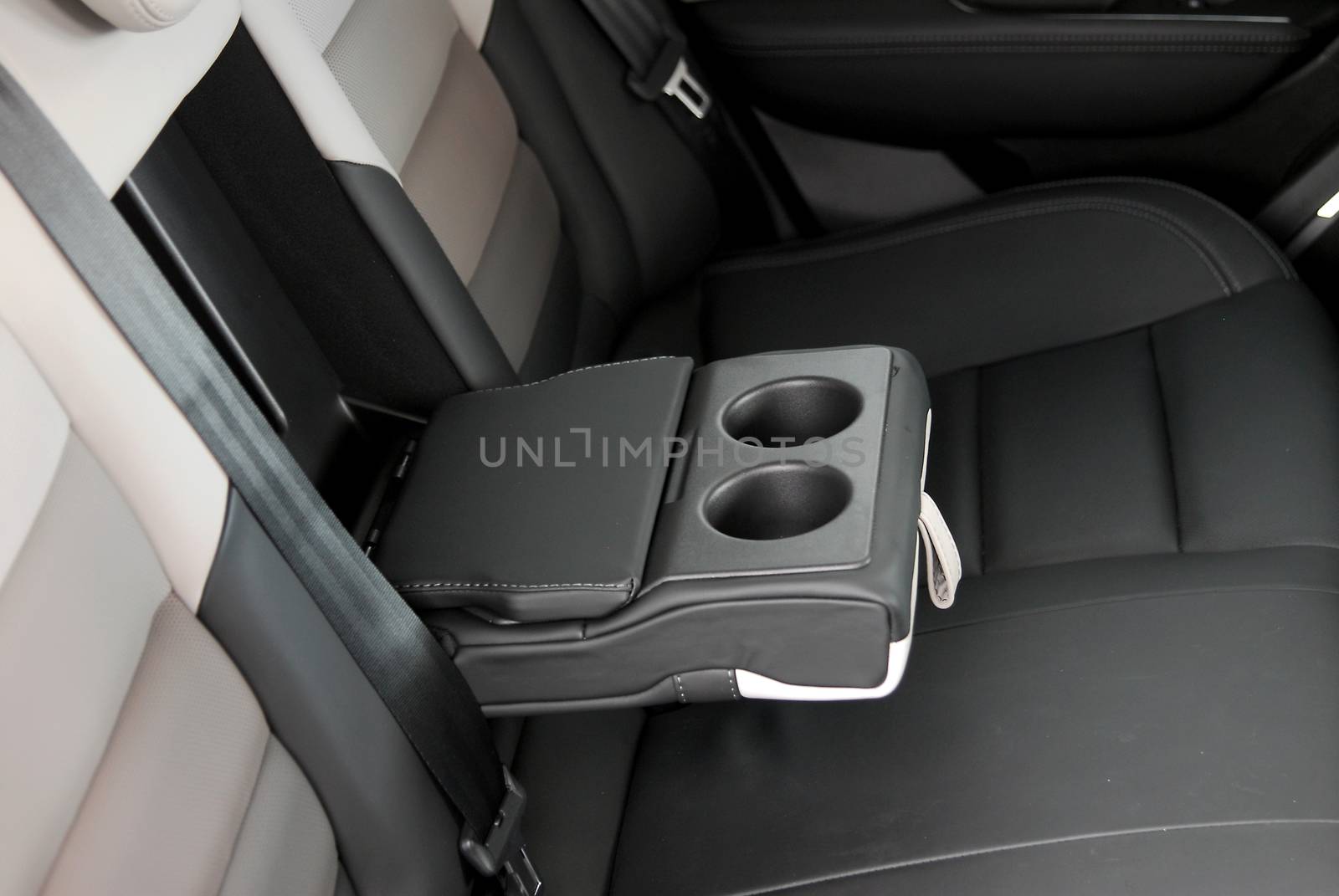 armrest in the luxury passenger car, rear seats