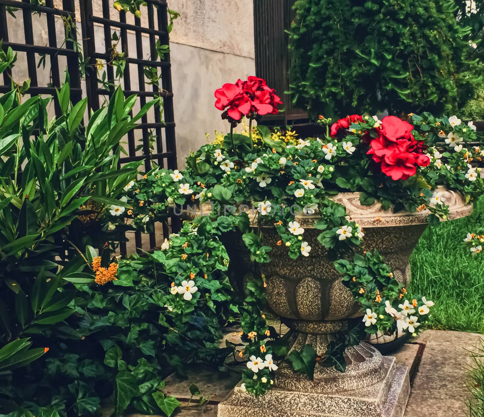 Beautiful green garden with flowers on luxury backyard by Anneleven