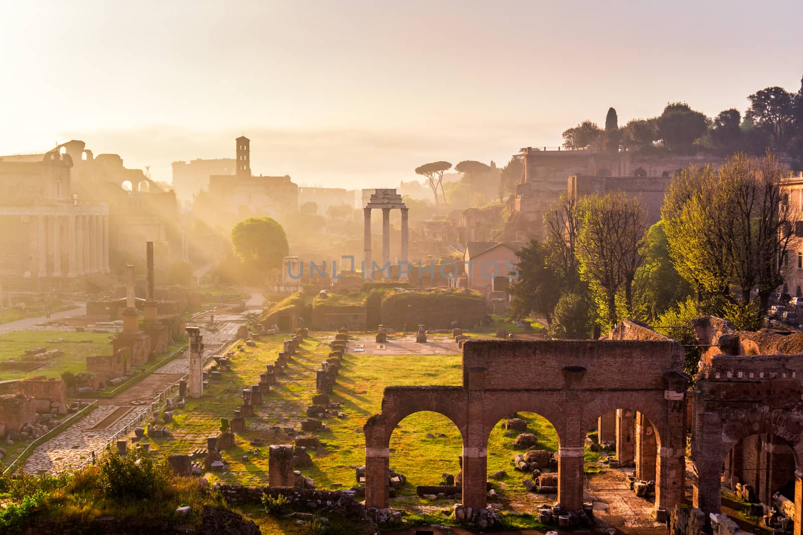 Roman Forum. Image of Roman Forum in Rome, Italy during sunrise.