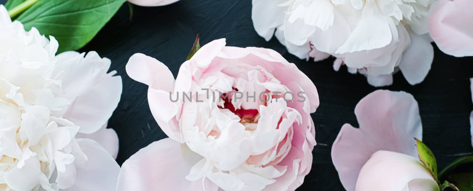 Blooming peony flowers as floral art background, botanical flatlay and luxury branding by Anneleven