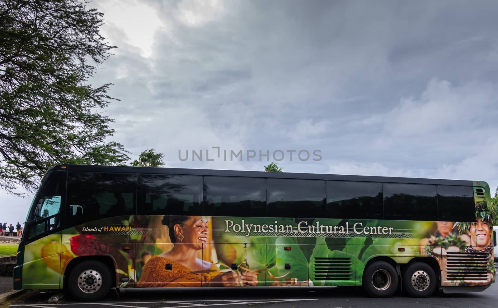 Closeup of tour bus with ad photo for Polynesian Cultural Center by Claudine