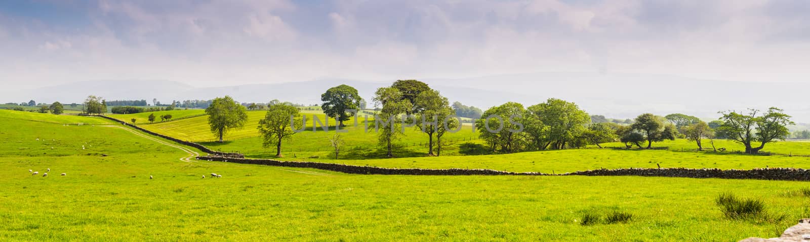 Panorama open fields and Blue Skies in the Summertime by paddythegolfer