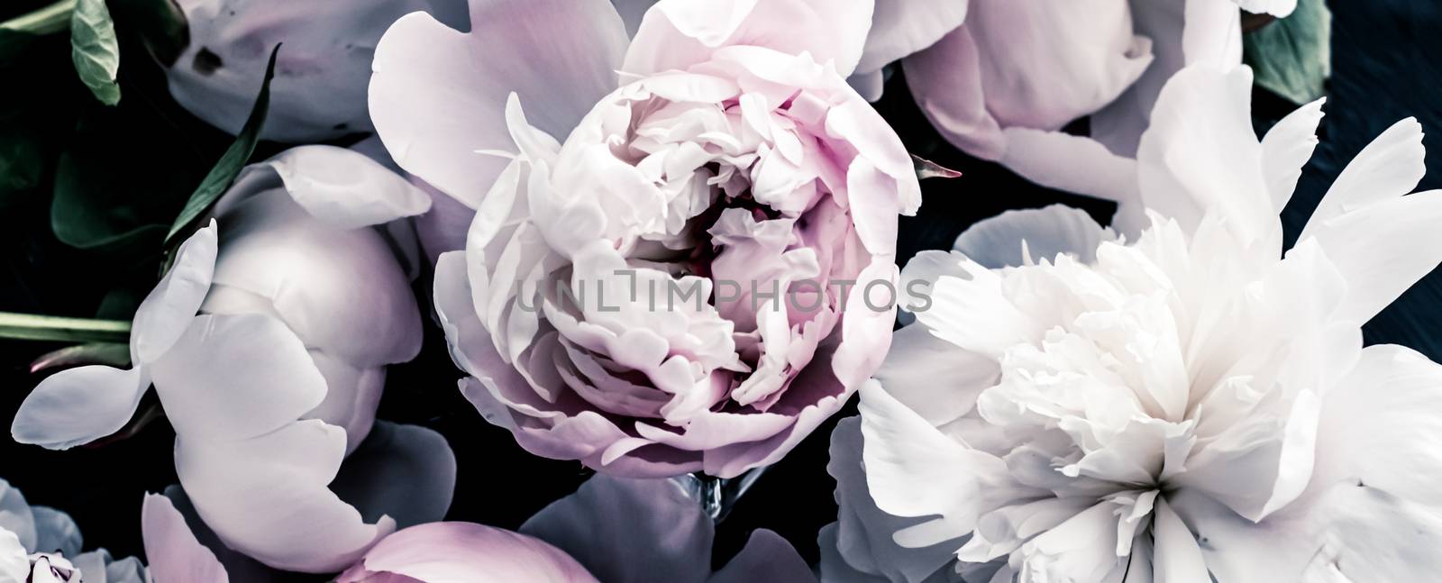 Pastel peony flowers as floral art background, botanical flatlay and luxury branding design