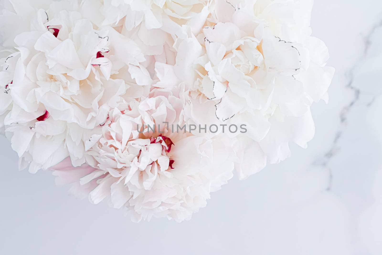 Bouquet of peony flowers as luxury floral background, wedding decoration and event branding design