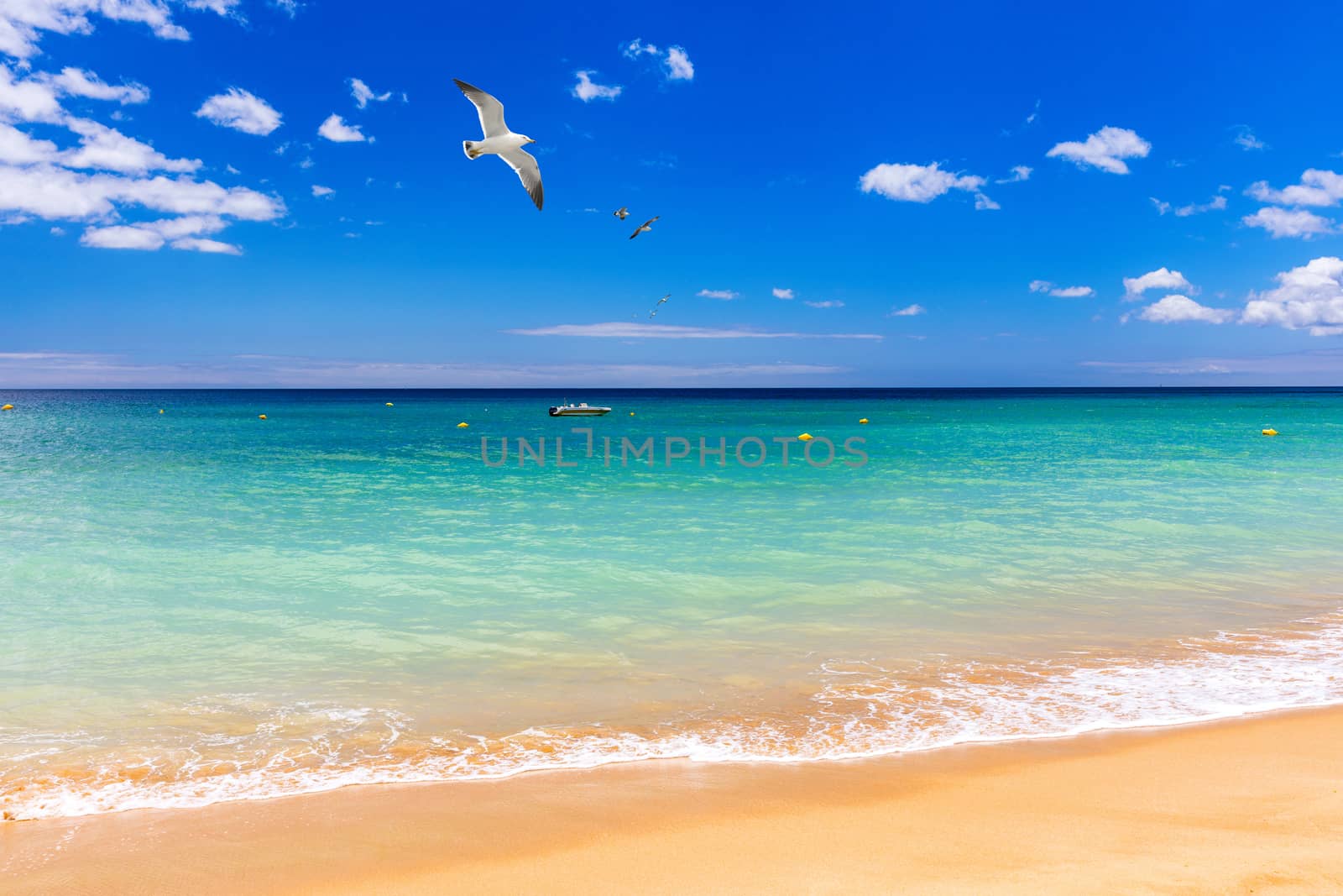 Soft wave of blue ocean on sandy tropical beach. Background of tropical paradise beach with golden sand, travel tourism panorama background concept. Sand and sea waves background.