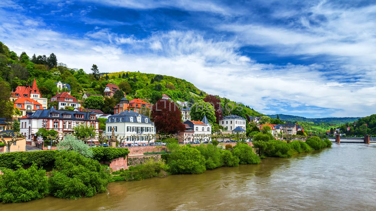 View of beautiful medieval town Heidelberg, Germany