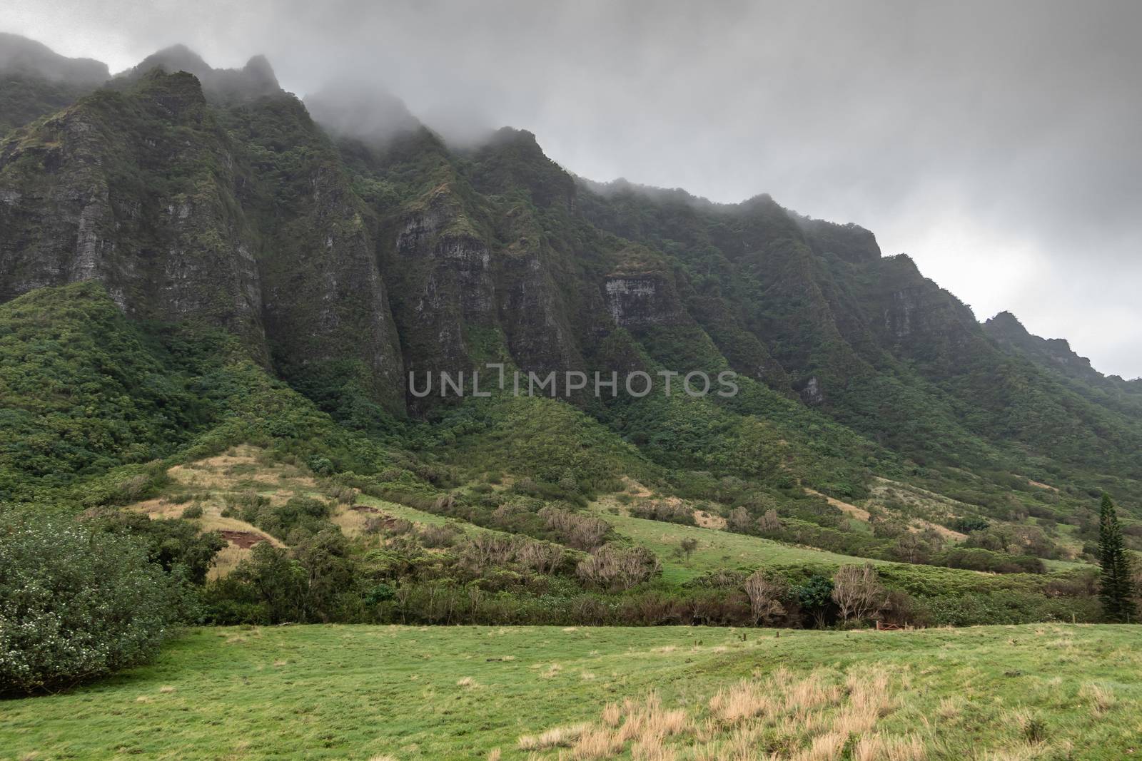 Kaaawa, Oahu, Hawaii, USA. - January 11, 2020: Green forested flanks to Brown to black high rocky cliffs on side of green meadow in Kualoa valley under cloudy rainy sky.