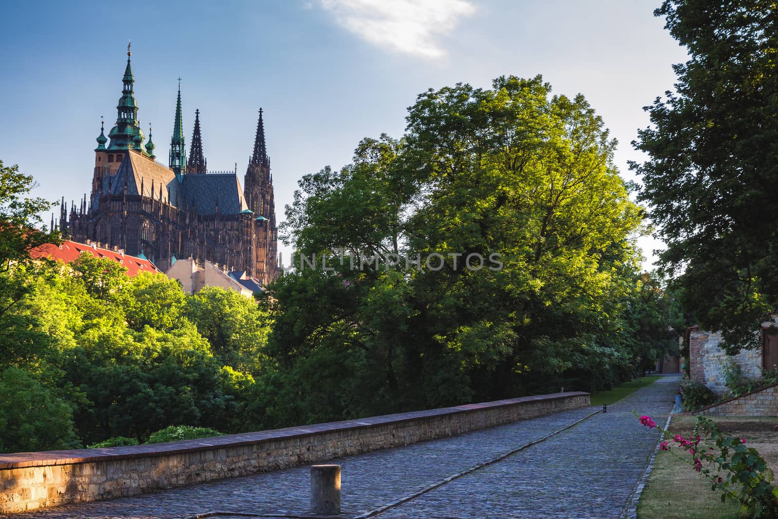 Prague Castle and Saint Vitus Cathedral, Czech Republic. Panoramic view