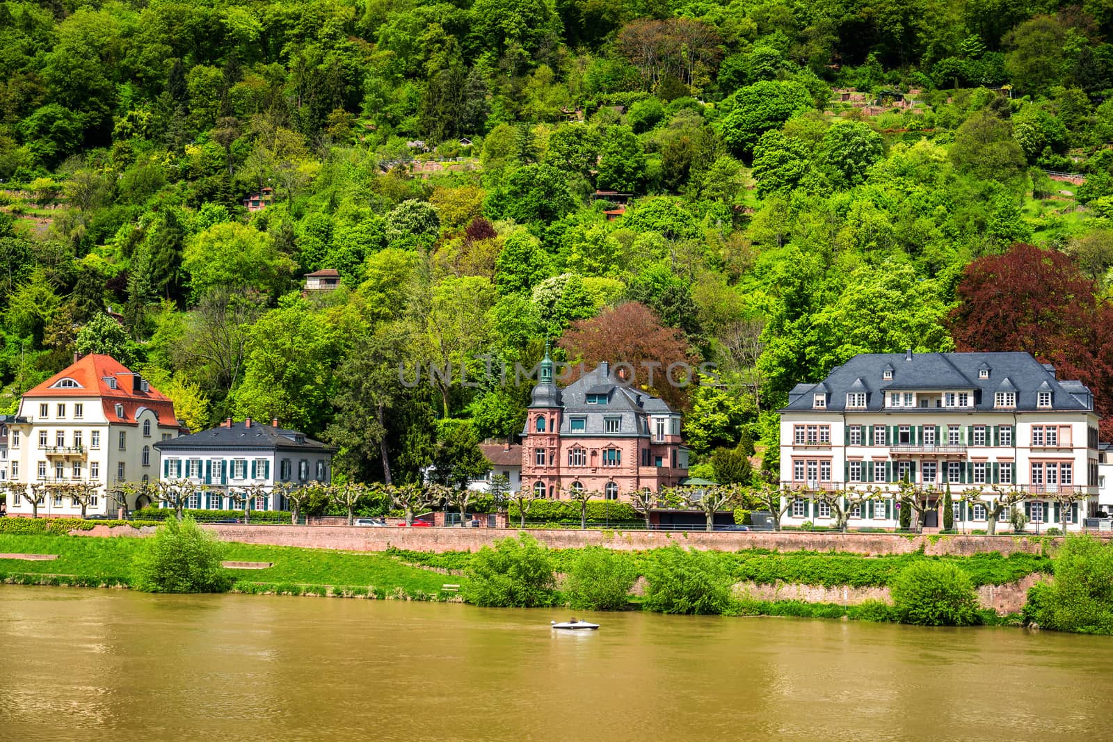 Heidelberg town with the famous old bridge and Heidelberg castle, Heidelberg, Germany